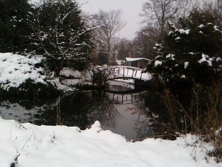 Bridge the gap